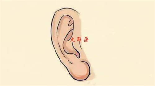 三种有福的耳朵 十种福气耳朵图解