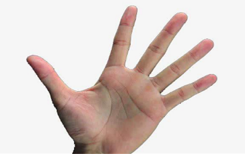 手掌纹路图解男性断掌代表什么 手掌纹路图解男性手相