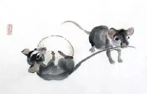 鼠和鼠相配婚姻如何 鼠与鼠的婚姻是否相配
