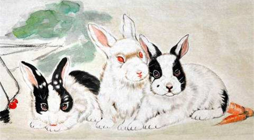 2023年属兔的全年运势 2023年兔人运势及运程