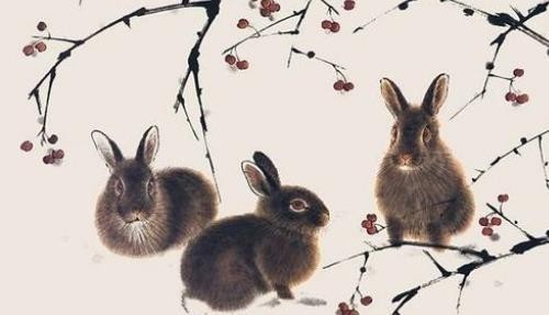 属兔几月出生最好命运 属兔几月出生大富大贵